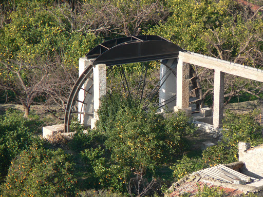 LA CONTRA ACEÑA DE ULEA