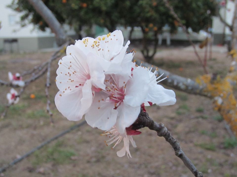 HOY PRINCIPIA UN NUEVO MES, SE LLAMA MARZO