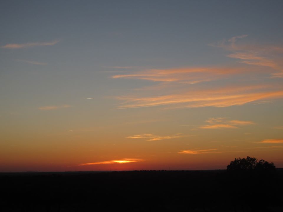 EL AROMA DEL SOSIEGO