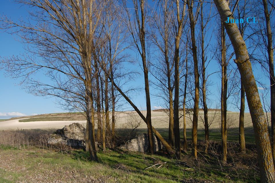 SALUDO FUENTEPIÑELANO 2229