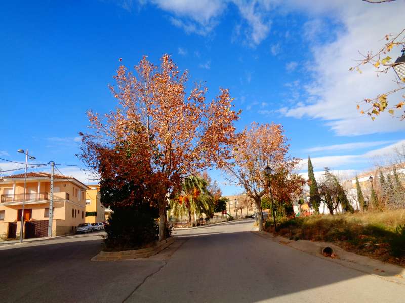 DIARIO DEL COVID-19: DESDE CASINOS, UNA REFLEXIÓN: ÚLTIMO TRIMESTRE DEL CURSO