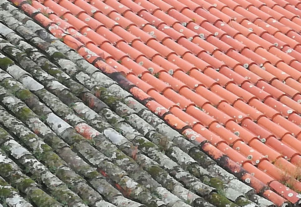 ENSEÑANZAS DEL ENCIERRO (XLIV)