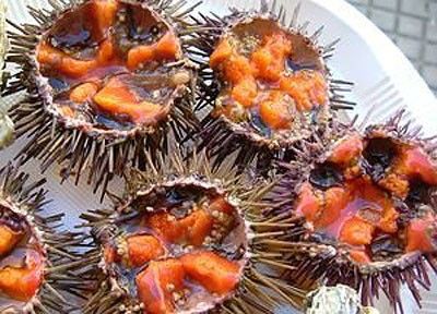 ORICIOS, CAPSAICINA Y «SIDRICILINA»