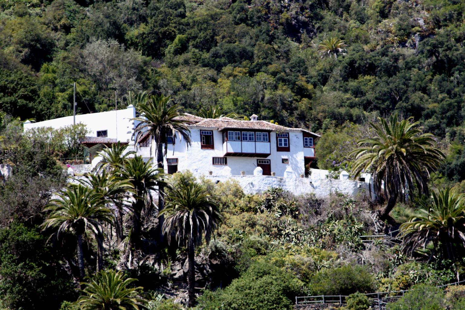 ANTONIO PÉREZ VOITURIEZ. PROFESOR UNIVERSITARIO Y JURISTA EXTRAORDINARIO