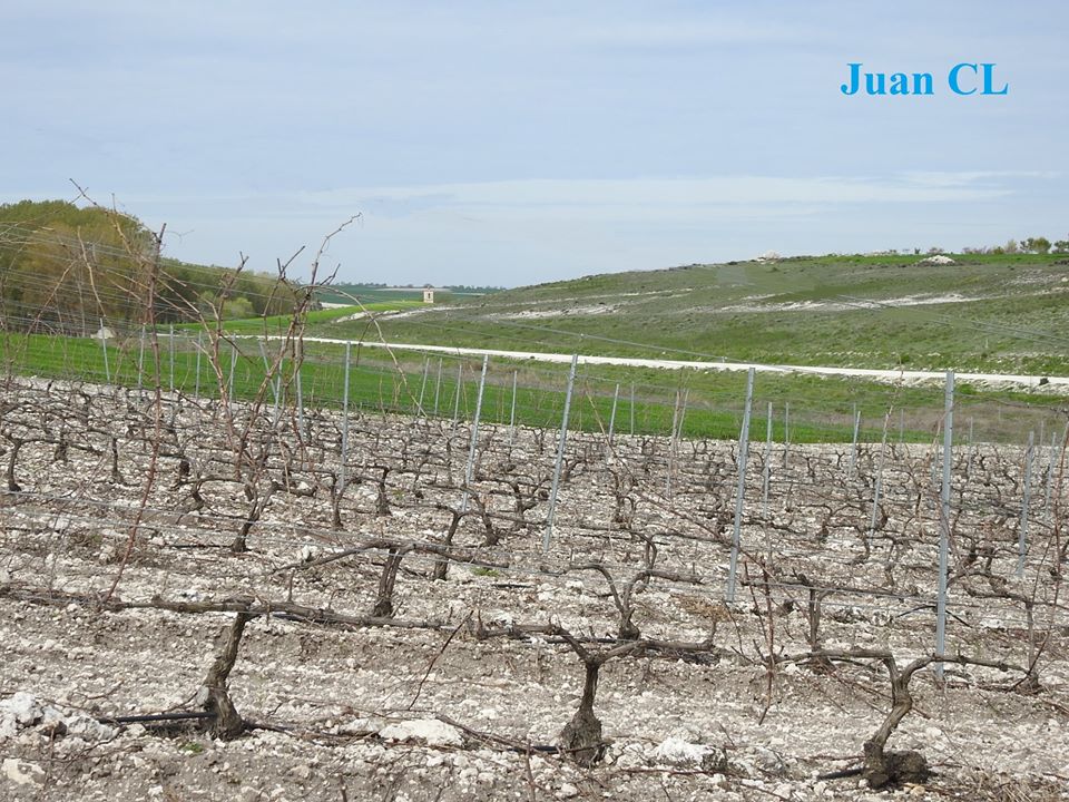 SALUDO FUENTEPIÑELANO 2302. DÍA 51 DEL ESTADO DE ALARMA.