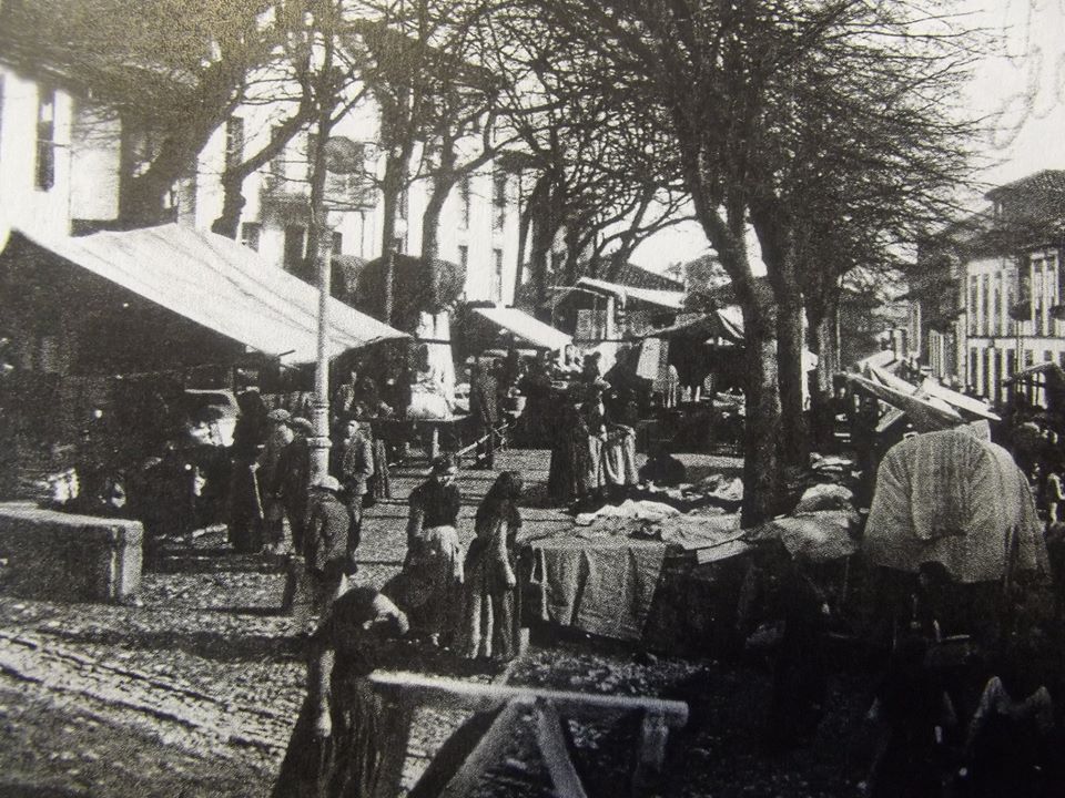 «DE MERCAU POR COLUNGA» Y «ESCALOPINES DE HUERTA CON CONEJO EN EL MONTE»