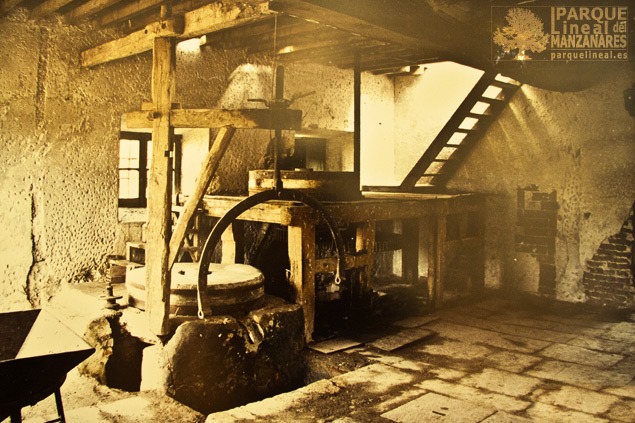 POR TIERRAS DEL TAJUÑA