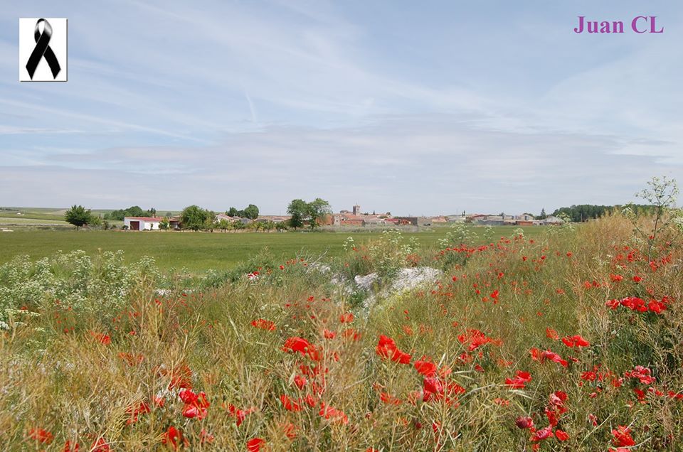 SALUDO FUENTEPIÑELANO 2306. DÍA 55 DEL ESTADO DE ALARMA.