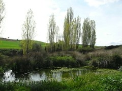 LA NORIA Y LA HUERTA DEL ZAPATERO