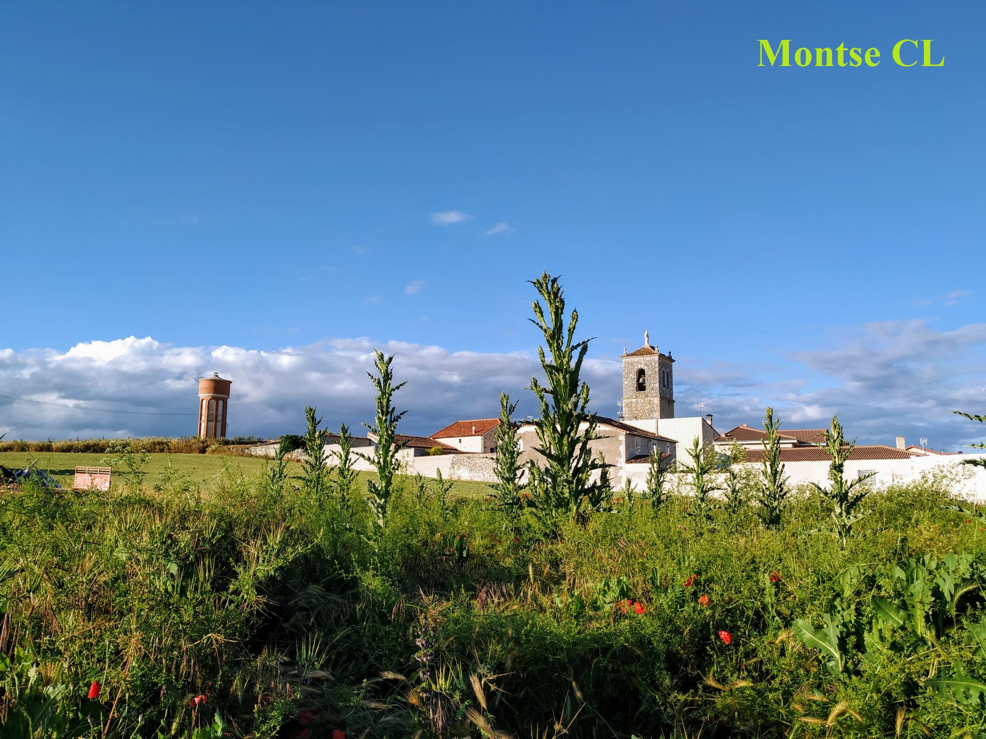 SALUDO FUENTEPIÑELANO 2346. DÍA 88 DEL ESTADO DE ALARMA
