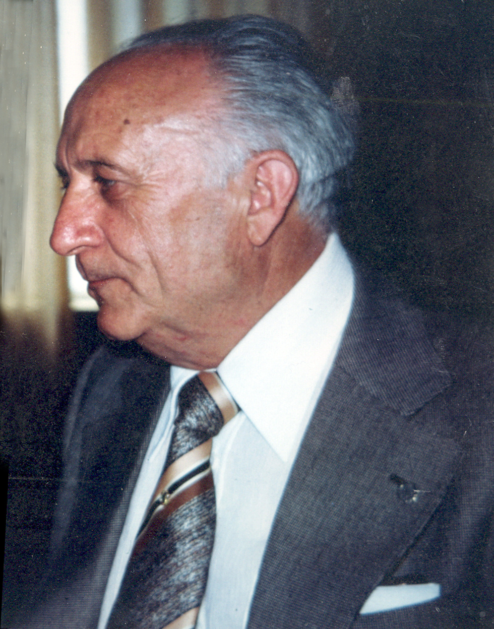 HIJOS PREDILECTOS EN VILLANUEVA DEL ARZOBISPO (JAÉN): D. PASCUAL MEGINA LAMARCA (IV)