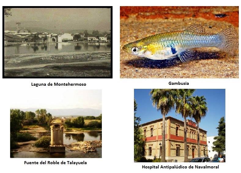 LAS BENEFACTORAS Y AÑORADAS GAMBUSIAS DE MI INFANCIA