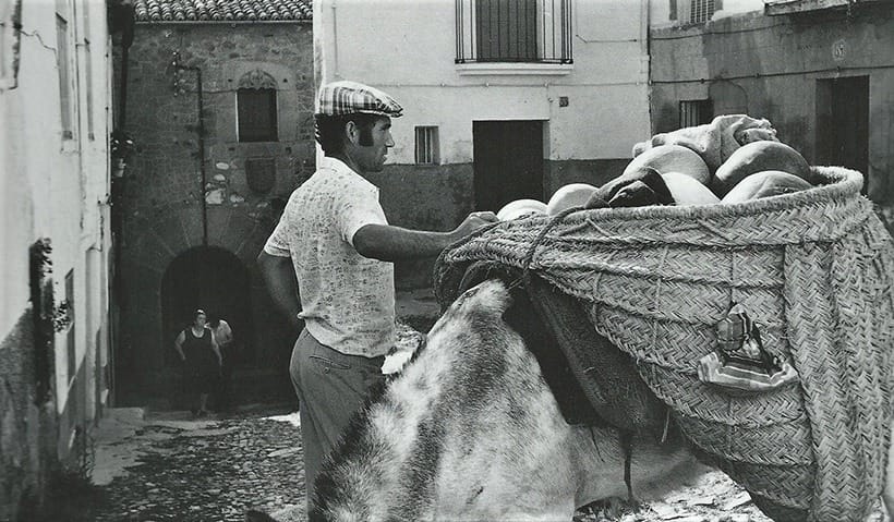 DÍA INTERNACIONAL DE LA SANDÍA