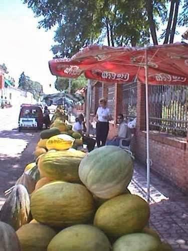 CAROLINA CORONADO, ALMENDRALEJO Y LA SOPA DE MELÓN