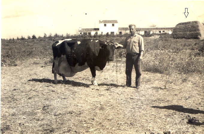 FORTALEZAS DE PAJA
