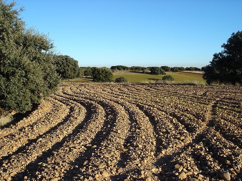 INICIO DEL CALENDARIO AGRÍCOLA. EL ARAR O XARTICAR