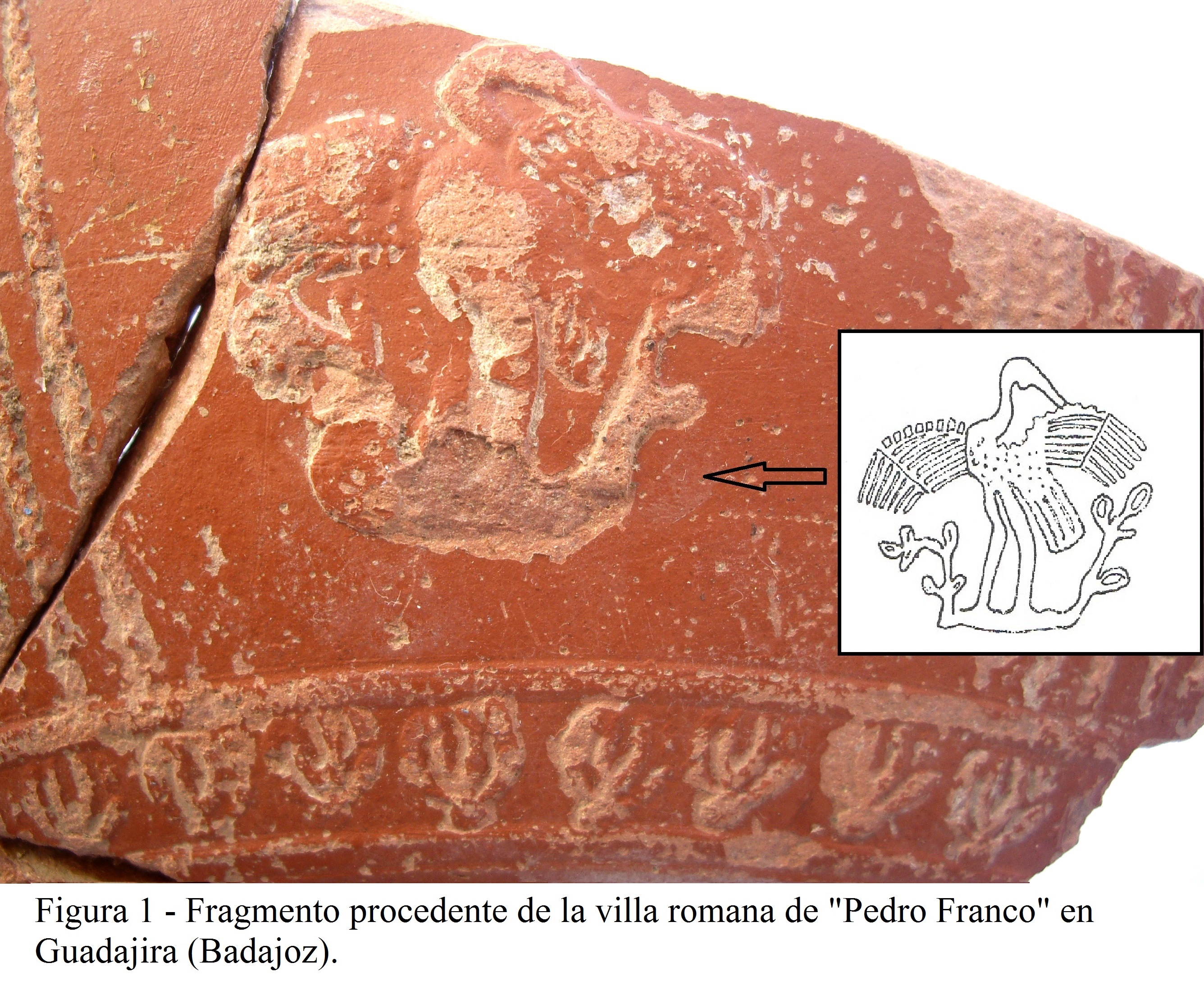 LA CIGÜEÑA EN LA ICONOGRAFÍA DE LA ‘TERRA SIGILLATA’ HISPÁNICA