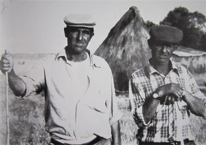 SANTOS Y QUICO, DOS SUPERVIVIENTES DE LA DEHESA EXTREMEÑA.