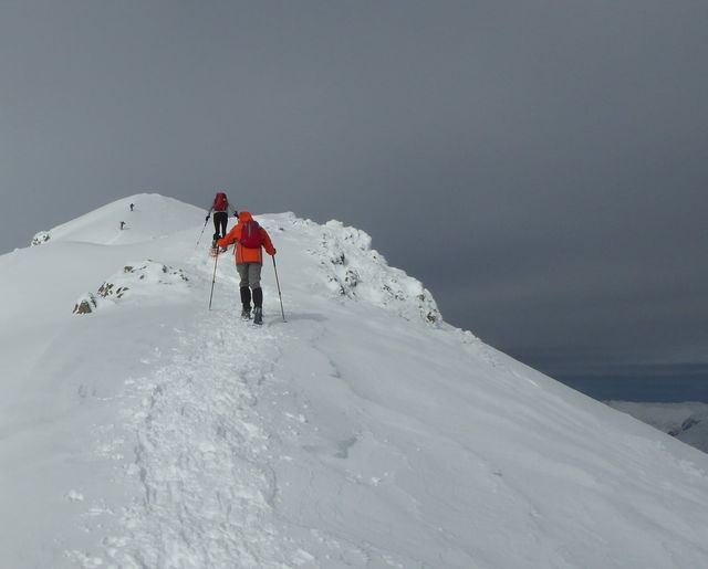 VENDEDORES AMBULANTES