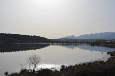 UN PASEO POR EL EMBALSE DE PEDREZUELA (MADRID)