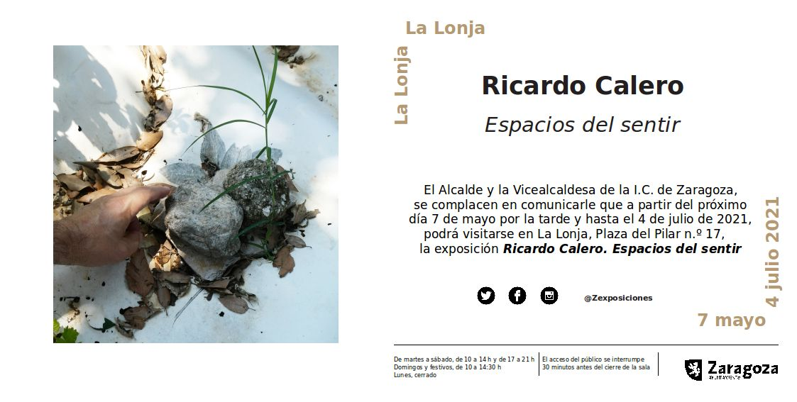 RICARDO CALERO NUEVA EXPOSICIÓN EN LA LONJA  ZARAGOZA