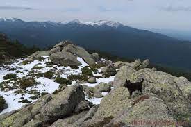 LA MONTAÑA DEL MAESTRO HERRERÍN