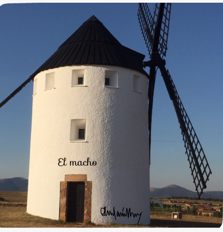 EL MOLINO DE VIENTO DE MALANQUILLA: EL MACHO