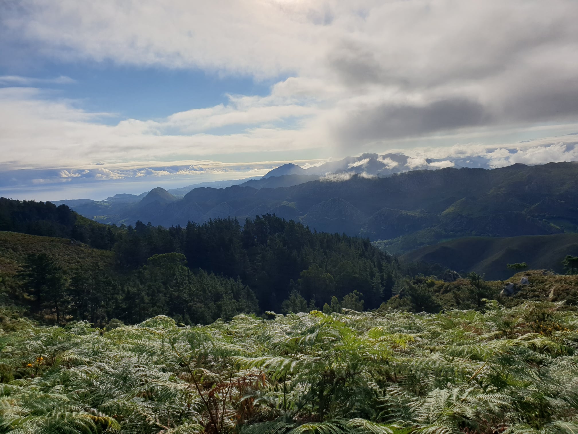 SUBIR AL SUEVE, UNA EXCURSIÓN CLÁSICA