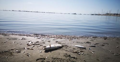 LA TRAGEDIA DEL MAR MENOR