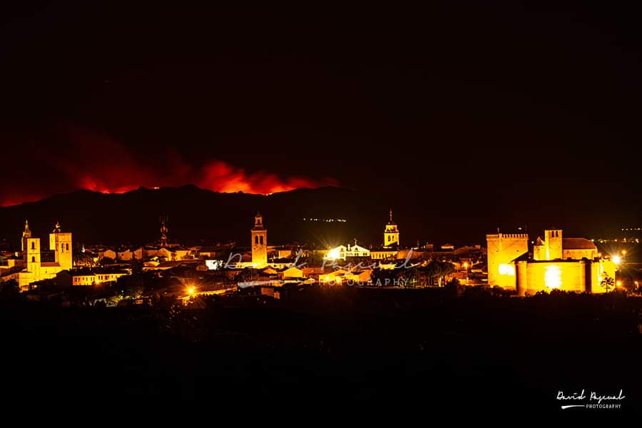 DESDE MI TORRE MUDÉJAR 762 HORROR, IMPOTENCIA Y SOLIDARIDAD….EL FUEGO