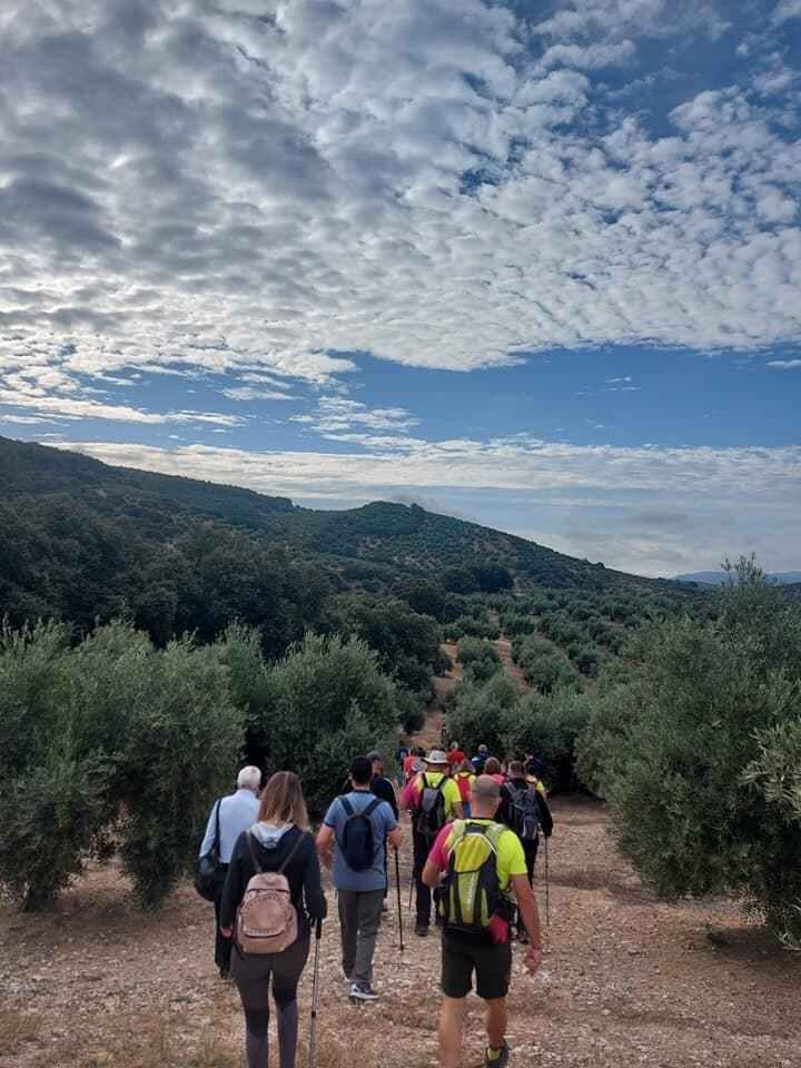 SENDA DEL PINAR DE LAS LOMAS