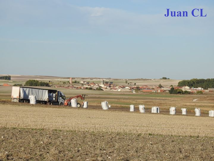 SALUDO FUENTEPIÑELANO 2852 – LA PATATA