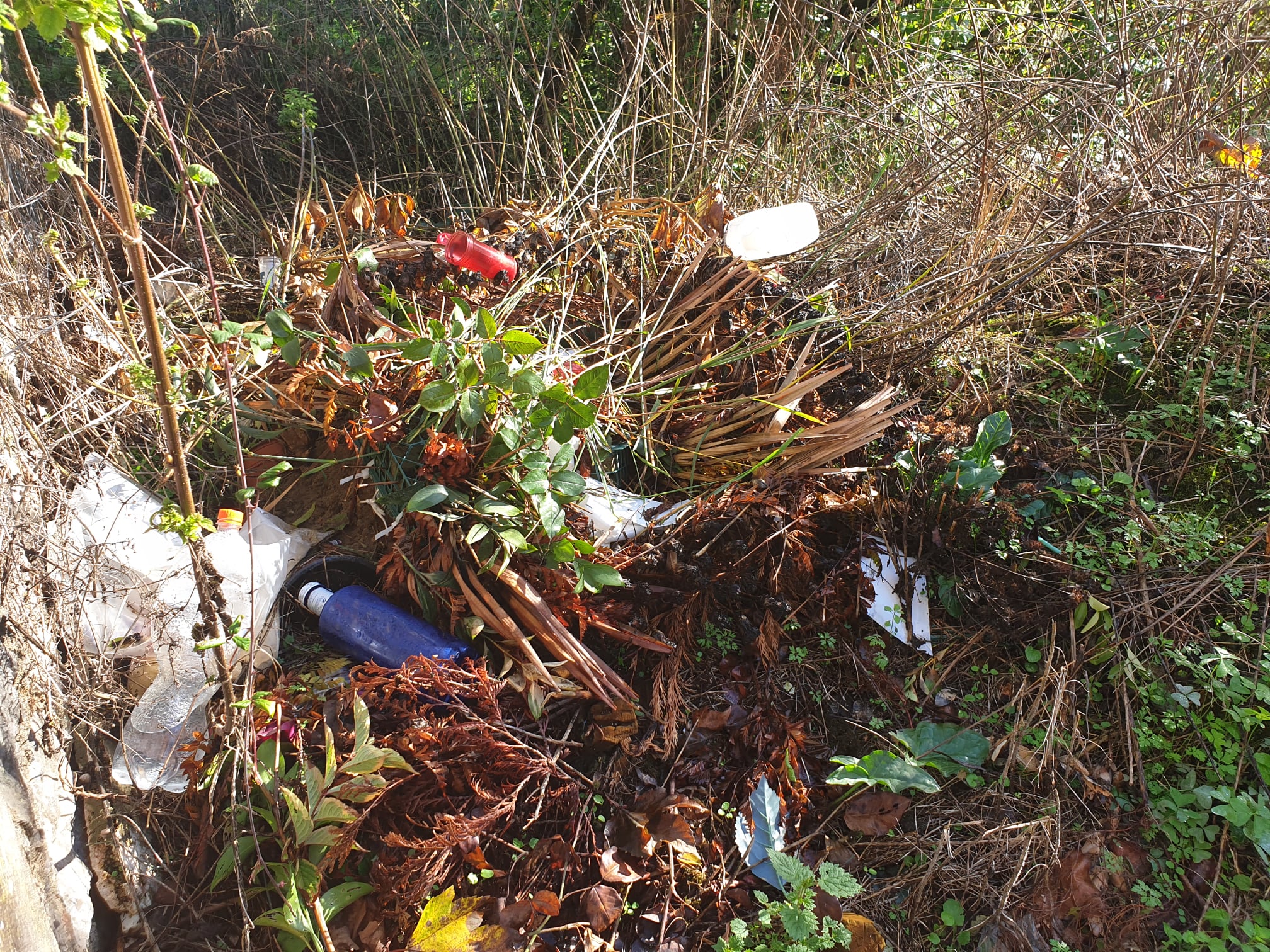 EL CEMENTERIO CIVIL DE ARRIONDAS, UNA VERGÜENZA SIN DISCULPAS