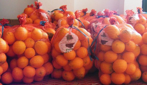 LA ROTUNDIDAD DEL PREGÓN: SE VENDEN NARANJAS