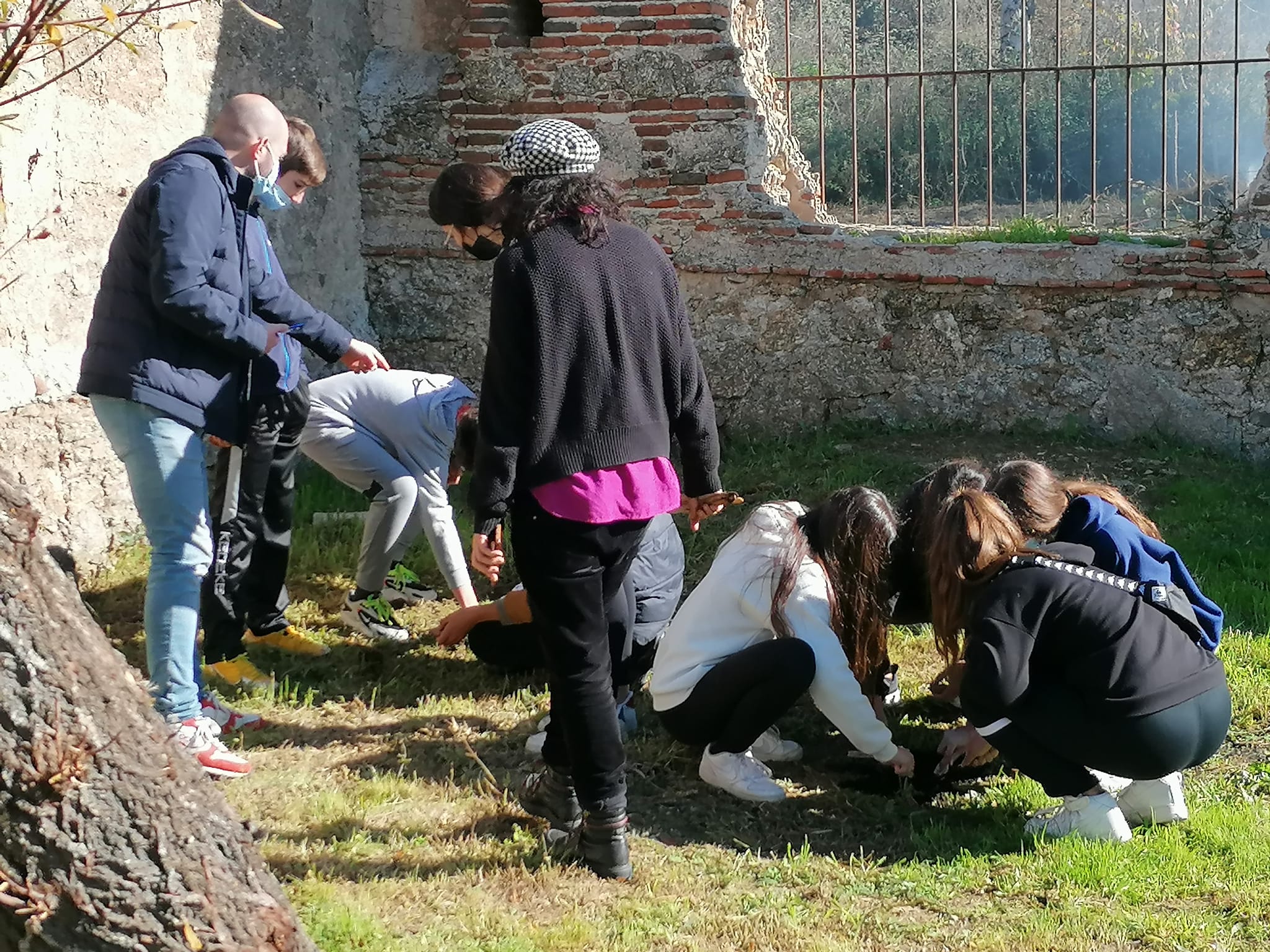 «CÓMO PLANTAR UNA PIEDRA»,