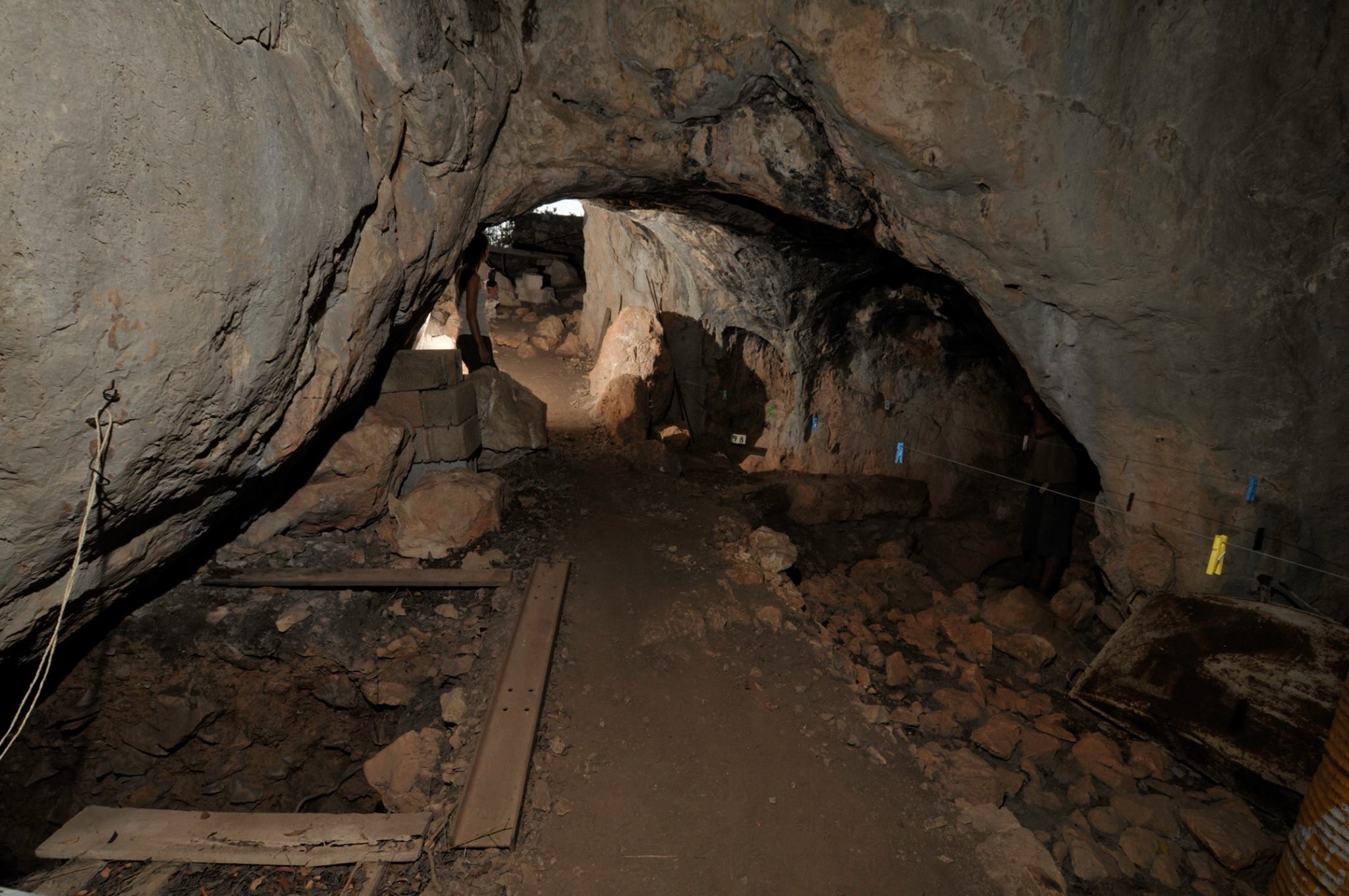 LOS NEANDERTALES «DOMESTICARON»EL FUEGO