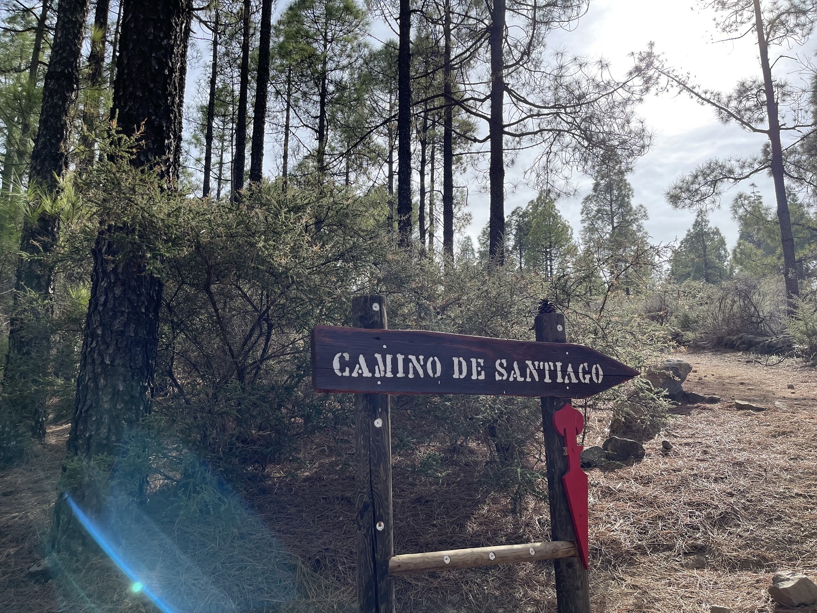 SE REÚNEN EN EL I SYMPOSIUM DEL CAMINO DE SANTIAGO ENTRE VOLCANES, ESPECIALISTAS DE PRIMER NIVEL