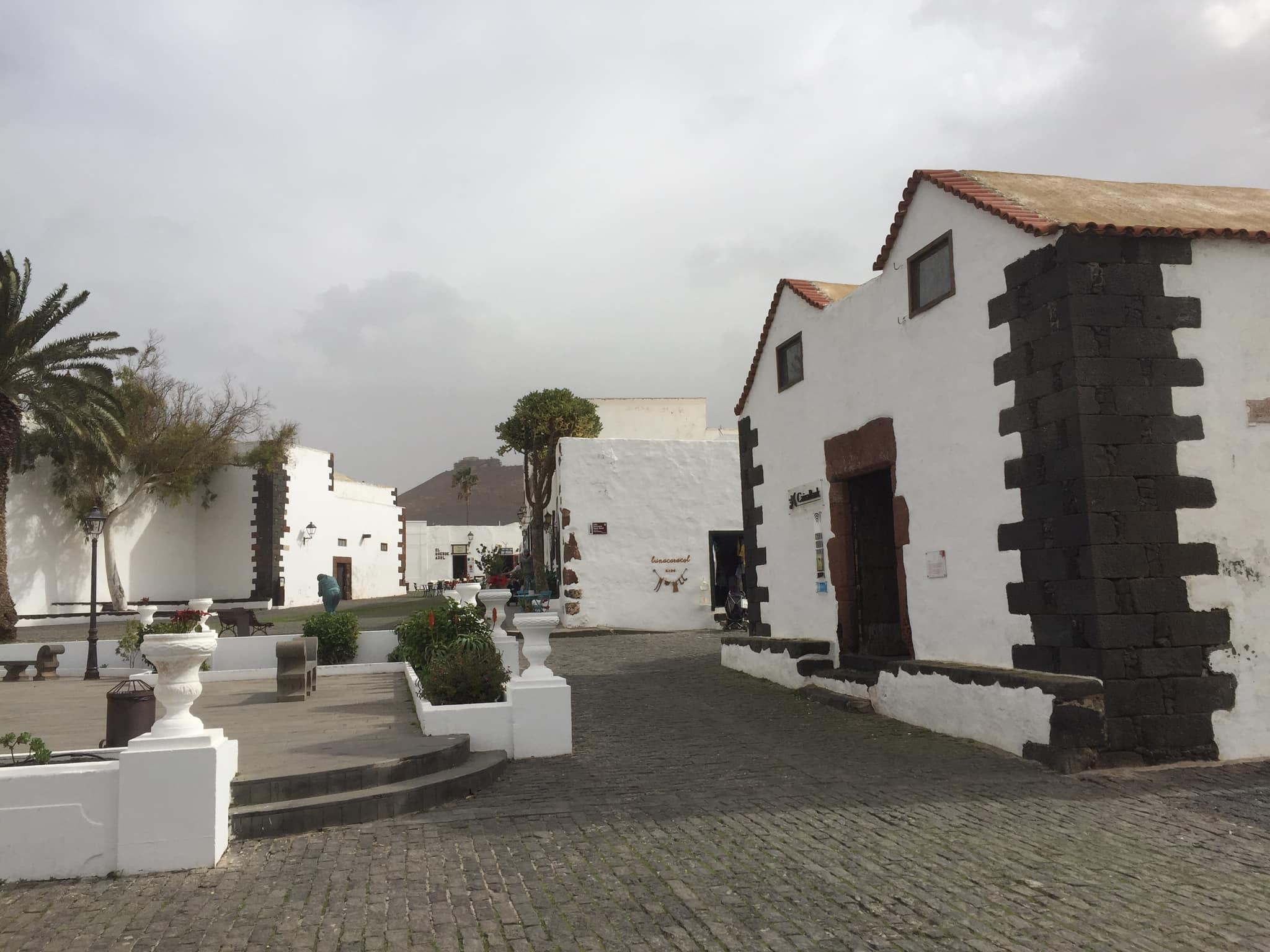 TEGUISE
