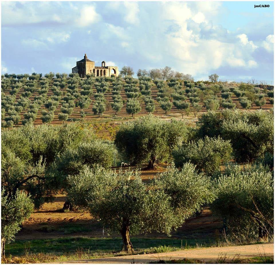 LA ROMERÍA DE SAN BLAS QUE SE HA IDO PERDIENDO