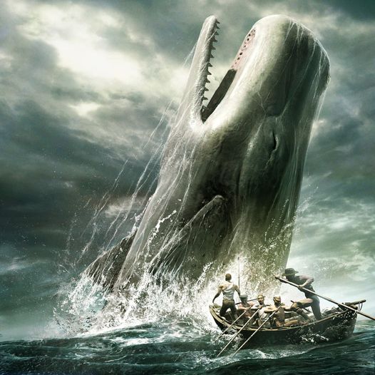 LA BALLENA