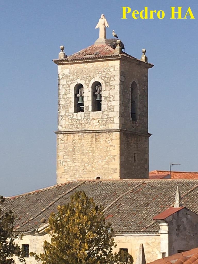 SALUDO FUENTEPIÑELANO 2981 -LAS CIGÜEÑAS HAN TOMADO POSESIÓN DEL NIDO DE LA TORRE DE FUENTEPIÑEL