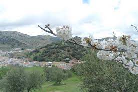 SABOREA LA SIERRA SUR FRAILES