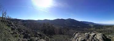 LOS HUESOS EN EL MULADAR