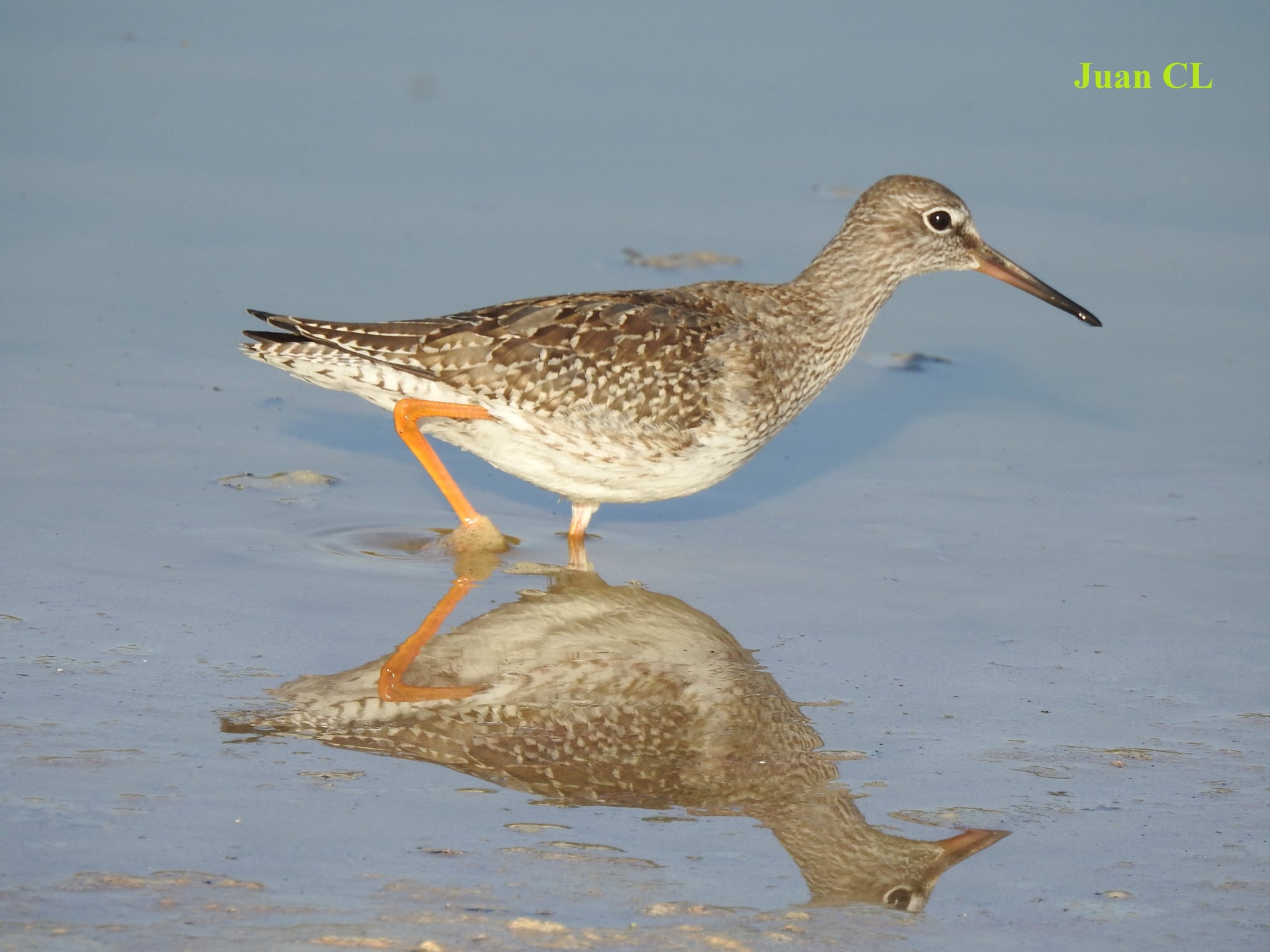 SALUDO FUENTEPIÑELANO 3001. EL 3 DE MARZO SE CELEBRA EL DÍA MUNDIAL DE LA NATURALEZA