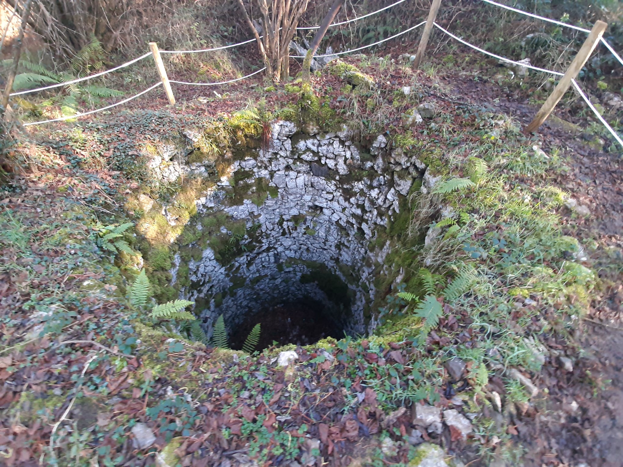 NEVEROS EN EL NARANJO