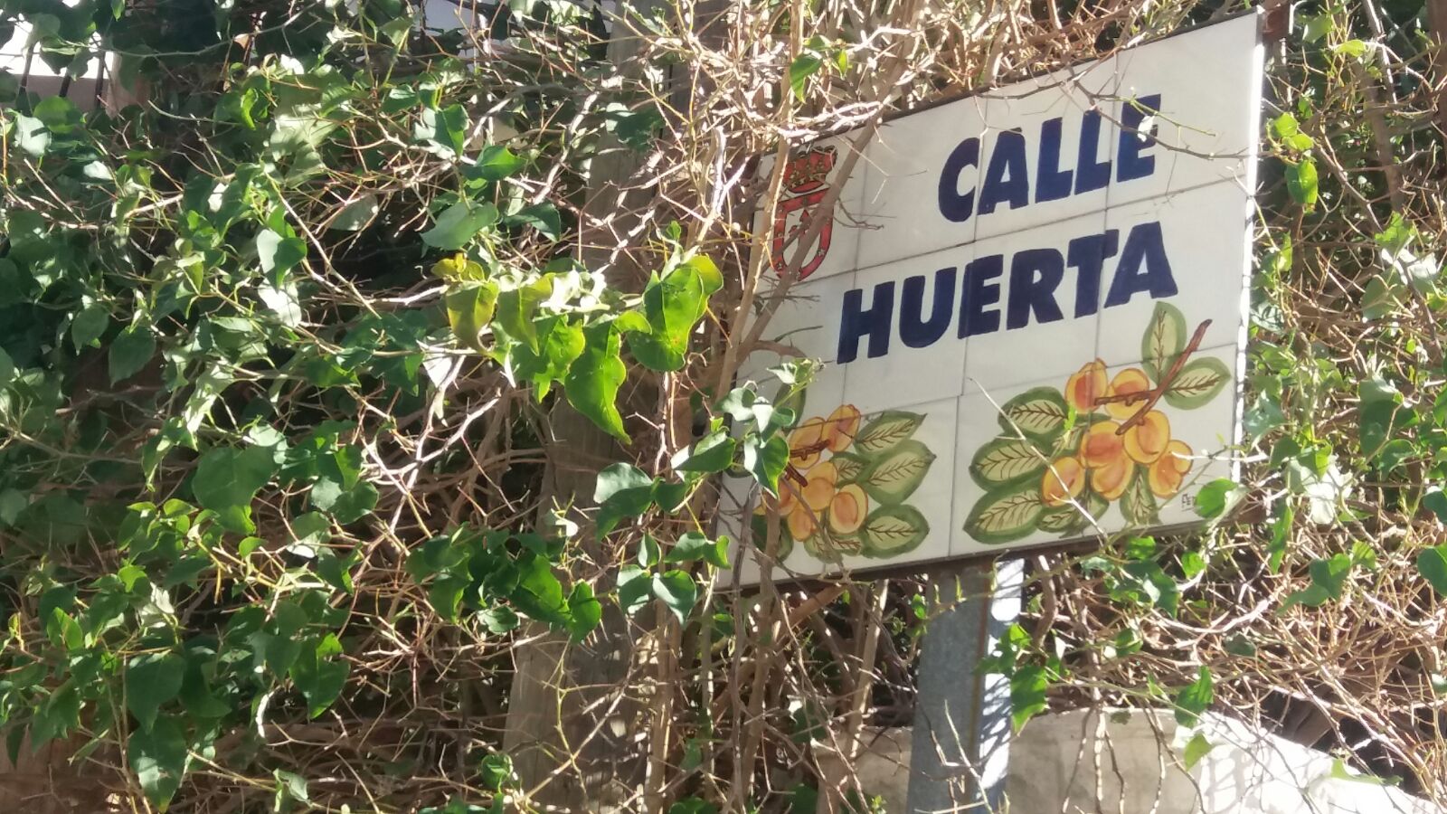 HISTORIOGRAFÍA DE LAS CALLES DE ULEA: CALLE HUERTA