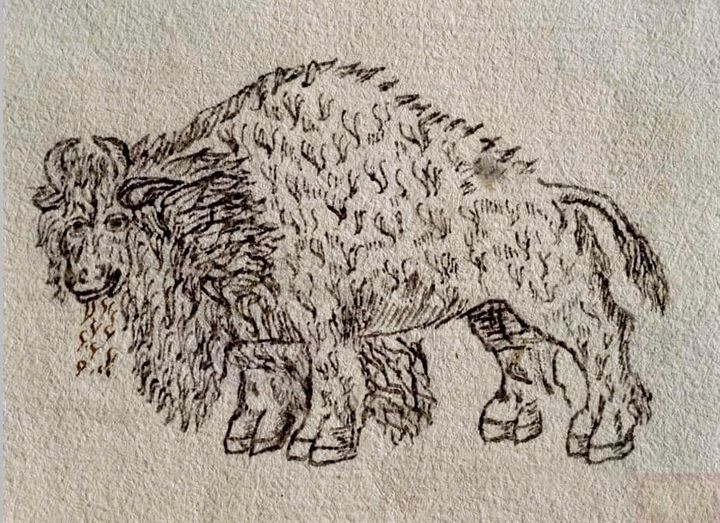 CRÓNICA DE ZACATECAS -PRIMERAS CORRIDAS DE TOROS EN ZACATECAS