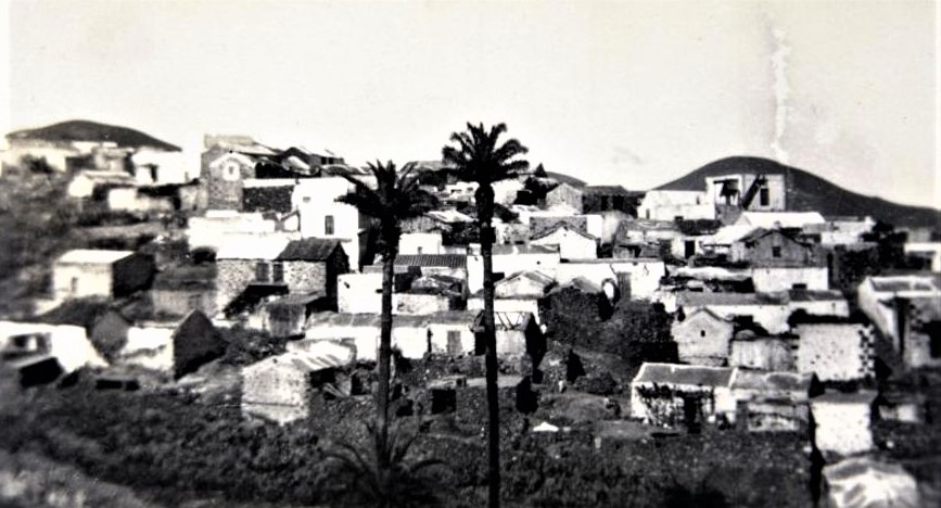 LA OTRA PALMA DE PAQUESITO.