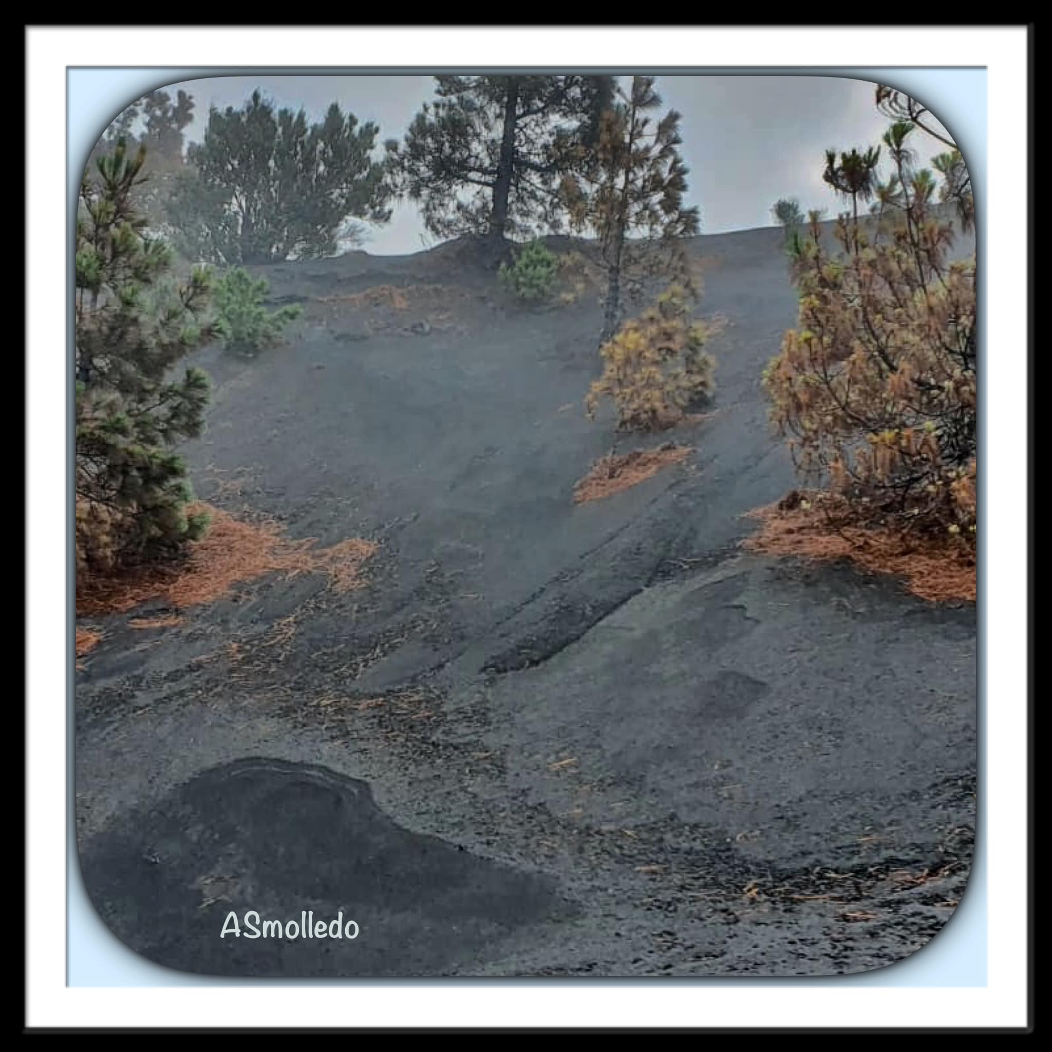 EL PARQUE RECREATIVO DEL PILAR, EN LA PALMA