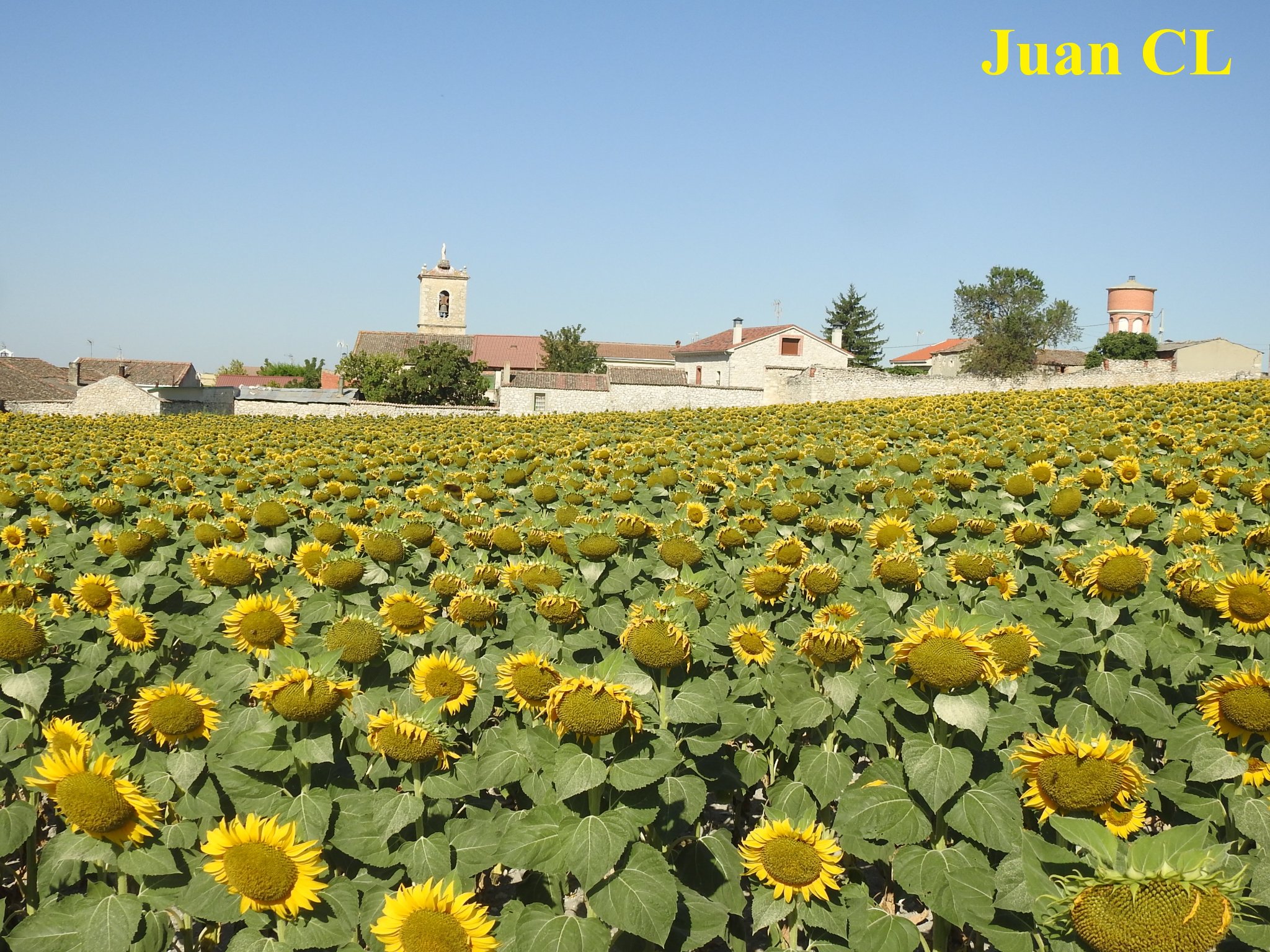SALUDO FUENTEPIÑELANO 3158 – PROGRAMA DEL XXXIV VERANO CULTURAL